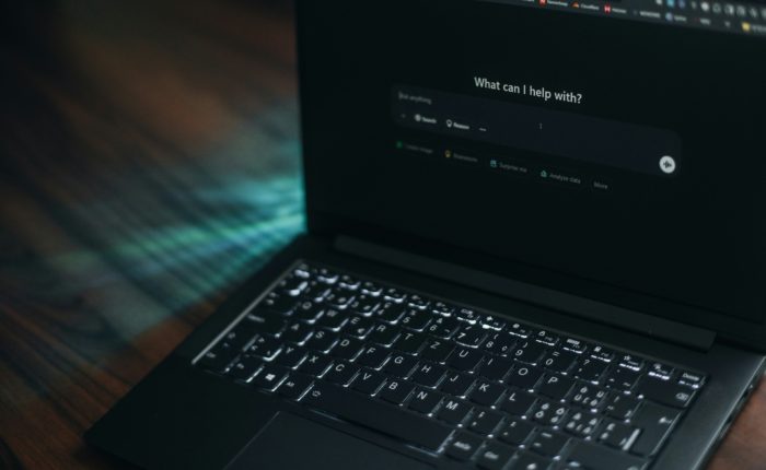 Running LLMs in Intel Laptops